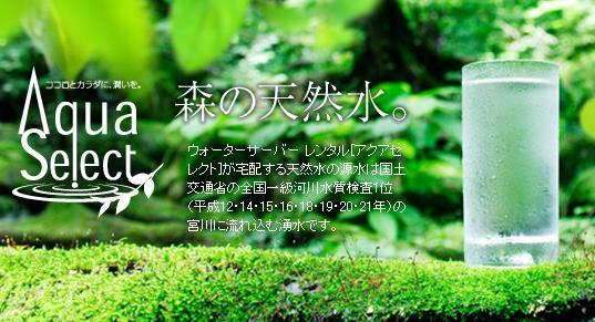 forest.jpg