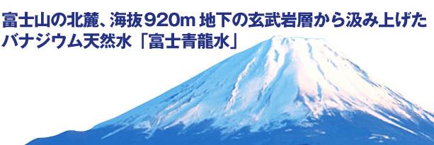 fuji2.jpg